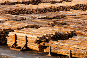 The Benefits of Using Pressure Treated Lumber in Construction and Landscaping